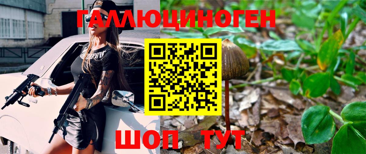 Псилоцибиновые грибы Cubensis Черногорск